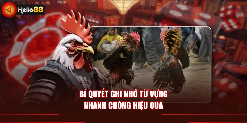 Bí quyết ghi nhớ từ vựng nhanh chóng hiệu quả