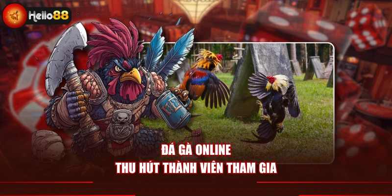 Đá gà online thu hút thành viên tham gia