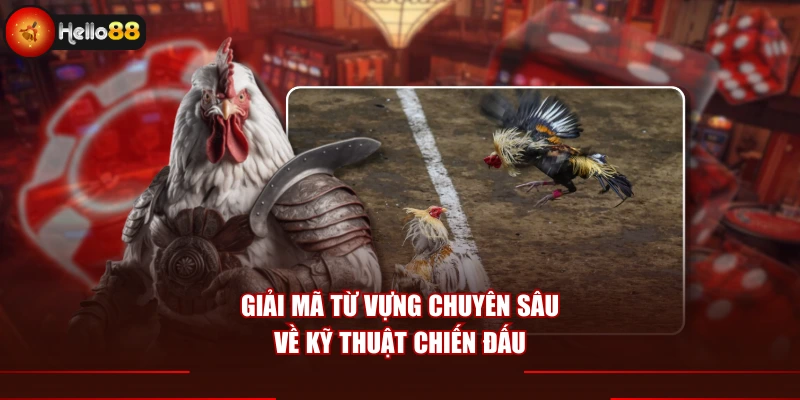 Giải mã từ vựng chuyên sâu về kỹ thuật chiến đấu
