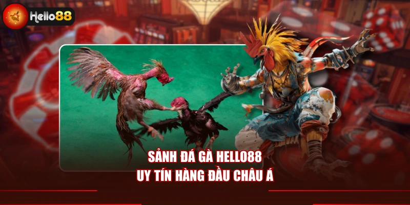 Sảnh đá gà Hello88 uy tín hàng đầu châu Á